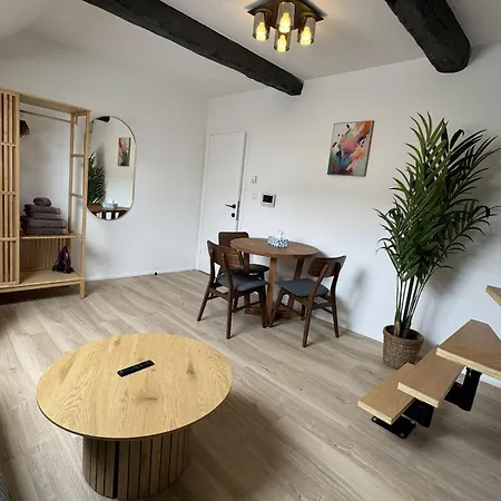 Luxury Royal By Rikas Apartment Antwerpen